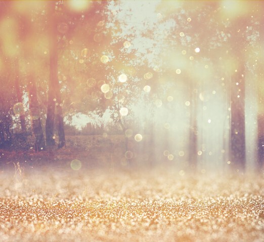 blurred abstract photo of light burst among trees